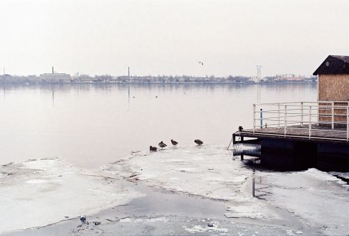 液晶屏在极端低温环境下的性能问题与解决方案全解析 cover image